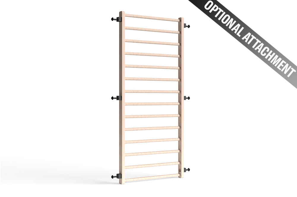 RAPTOR Power Rack with Shelves 3-2