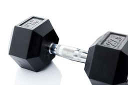 [STR-HEXDB275-PAIR] Hex Rubber Dumbbell (pair; 27,5kg) Discontinued Product